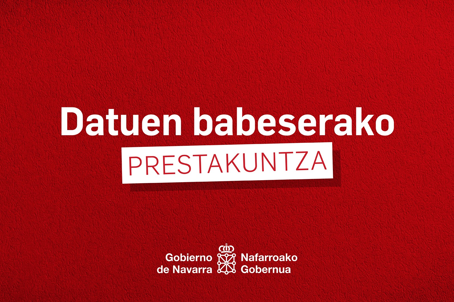 Datu babesari buruzko oinarrizko ikastaroa Nafarroako Administrazio Publikoentzat (19216)